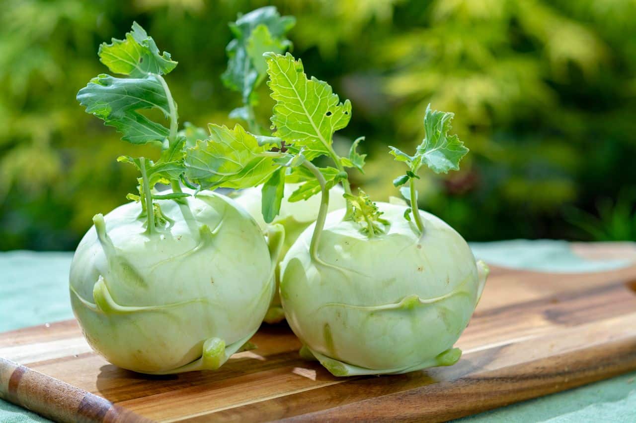 Kohlrabi: Understanding The Unique Flavor, Nutrition, And Top Benefits