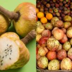 Ramphal Fruit: Health Benefits, Uses And Recipes