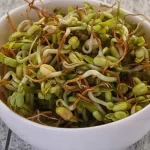 Why Should You Include 100 GM Sprouts Protein In Your Diet?