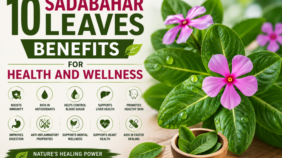 10 Sadabahar Leaves Benefits For Health And Wellness